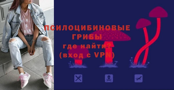2c-b Михайловка