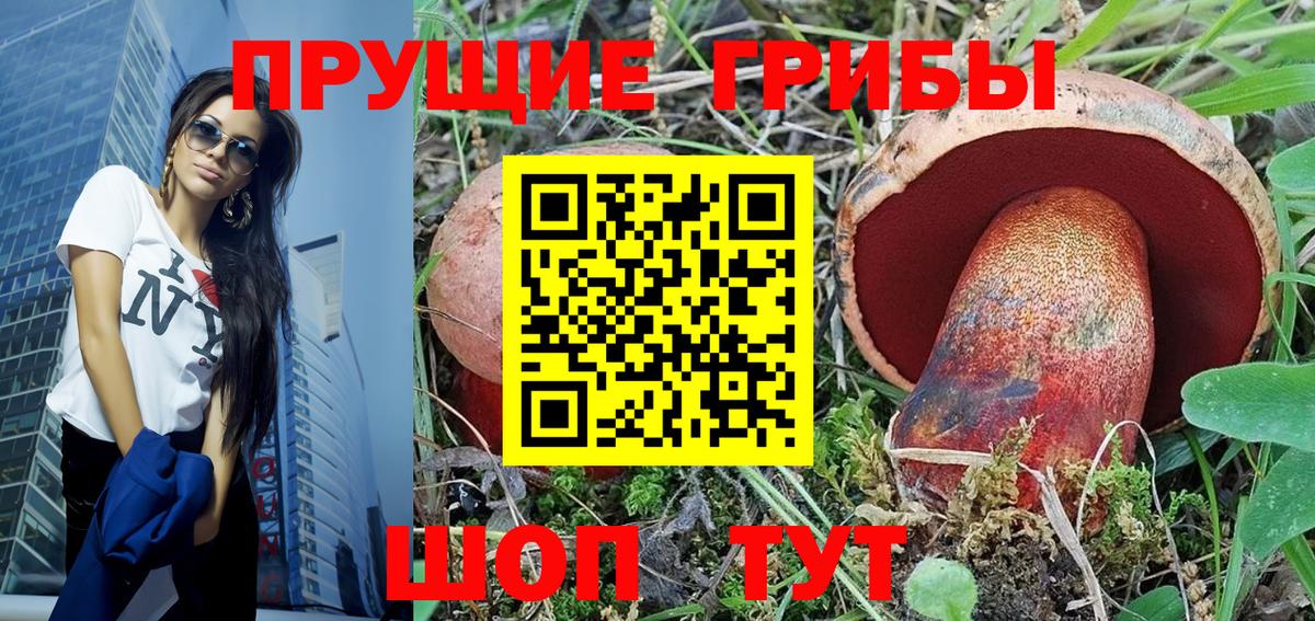 Дербент  Галлюциногенные грибы MAGIC MUSHROOMS  Вход с VPN 