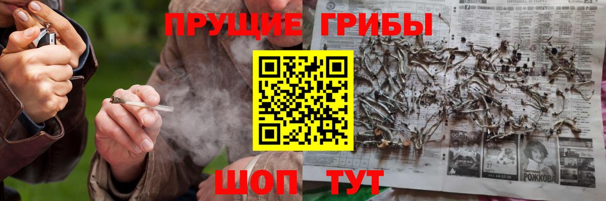 Псилоцибиновые грибы Cubensis  Дербент  Галлюциногенные грибы ЛСД 