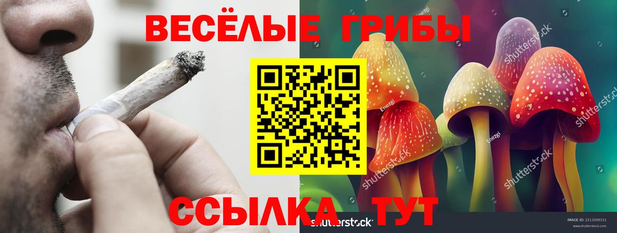 Галлюциногенные грибы Cubensis Дербент